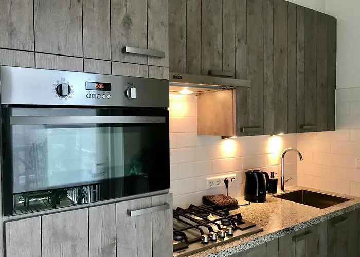 Sea View Scheveningen * האג