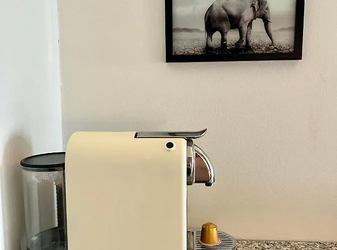 Sea View Scheveningen Haga